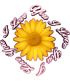 Mensajes Inglés I Love You 02 