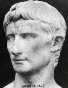 Umorismo -  Fun Morphing - Sembra People - Vip People Serie 02 