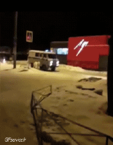 Humour - Fun Animaux Chiens Serie 04 