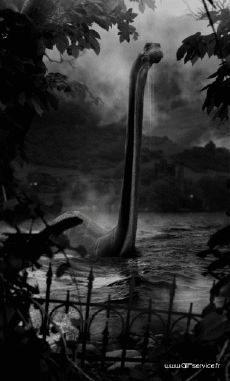 Humor - Fun Efectos 3d Stéreoscopique Wiggle 