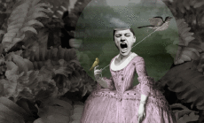 Humor -  Fun GIF Artists Isabel Chiara 