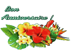 Nachrichten Französisch Bon Anniversaire Floral Transparenter Hintergrund 001 