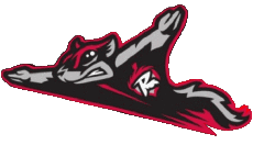 Deportes Béisbol U.S.A - Eastern League Richmond Flying Squirrels 