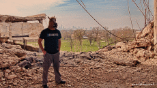 Humour - Fun 3D Effets Stéreoscopique Wiggle 