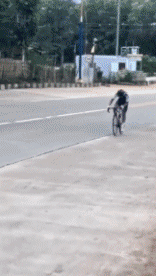 Umorismo -  Fun Sportivo Ciclismo - Bicicletta Cadute - Fail 