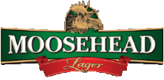 Getränke Bier Kanada Moosehead 