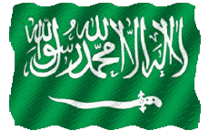 Banderas Asia Arabia Saudita Ondulación 