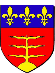 Wappen-Fahnen Frankreich Abteilungen - Städte 82 MONTAUBAN Wappen