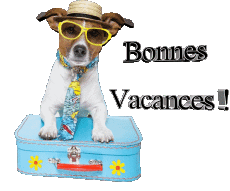 Messages French Bonnes Vacances Transparent Background 29 