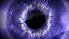 Multimedia Canales - TV Francia Ushuaïa TV Jingle Pub 