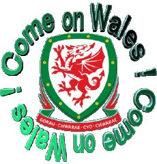 Messagi Inglese Come on Wales Soccer 