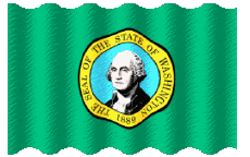 Bandiere America U.S.A - Stati Washington Sventola 