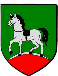 Bandiere Francia Dipartimenti - Città 62 HENIN BEAUMONT 