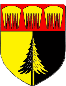 Bandiere Francia Dipartimenti - Città 01 OYONNAX 