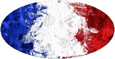Flags France National Oval 