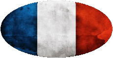 Flags France National Oval 