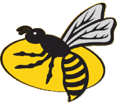 Sports Rugby - Clubs - Logo England London Wasps 