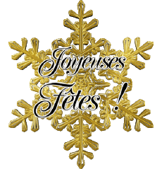Nachrichten Französisch Joyeuses Fêtes (Noël) Serie 24 