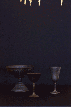 Humour - Fun GIF Artistes Lucea Spinelli 