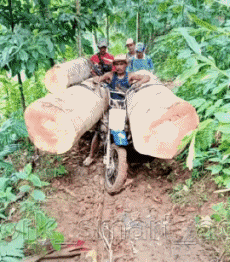 Humour - Fun PERSONNAGES Au Travail Fun - Win 