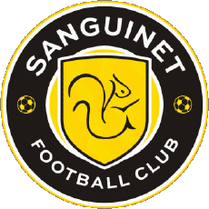 Sports Soccer Club France Nouvelle-Aquitaine 40 - Landes Sanguinet FC 