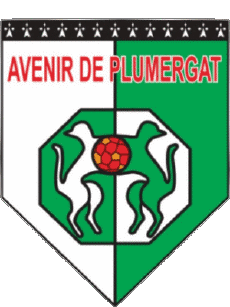 Sports Soccer Club France Bretagne 56 - Morbihan AVP Plumergat 