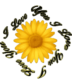 Messages Anglais I Love You 02 