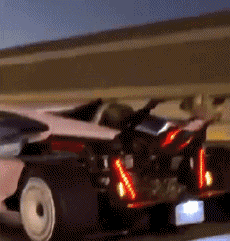 Humor -  Fun Transport Cars Funny 02 