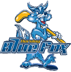 Sport Eishockey Dänemark Herning Blue Fox 