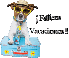Nachrichten Spanisch Felices Vacaciones Transparenter Hintergrund 29 