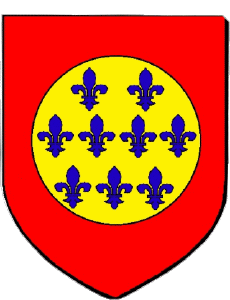 Bandiere Francia Dipartimenti - Città 974 SAINT LEU 