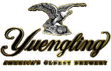 Boissons Bières USA Yuengling 
