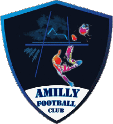 Sports Soccer Club France Centre-Val de Loire 28 - Eure-et-Loir Amilly FC 