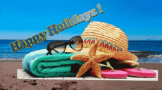 Messagi Inglese Happy Holidays Sfondo animato 003 