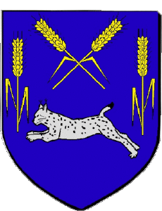 Bandiere Francia Dipartimenti - Città 50 VALOGNES 