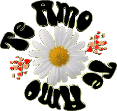 Messages Spanish Te Amo 04 