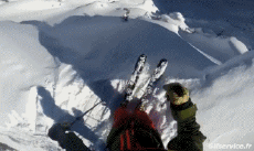 Humor -  Fun Sport Ski Free Ride Fun Win 