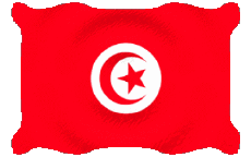 Flags Africa Tunisia Waving 