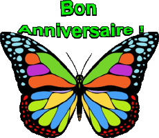 Messages French Bon Anniversaire Papillons Transparent Background 002 