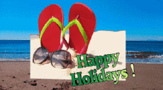 Messages Anglais Happy Holidays Fond Animé 003 