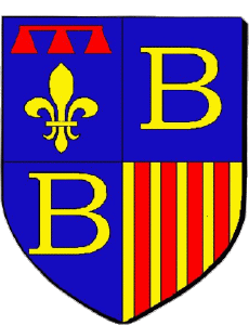 Flags France Departments - Cities 83 BRIGNOLES 