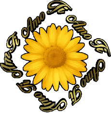 Messages Italien Ti Amo 02 