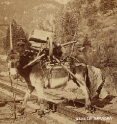 Umorismo -  Fun Effetti 3d Stéreoscopique Wiggle 