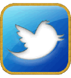 Multi Media Computer - Internet Twitter 