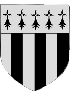 Banderas Francia Departamentos - Ciudades 35 RENNES 