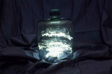 Humor -  Fun GIF Künstler Lucea Spinelli 