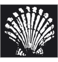 1904-Transporte Combustibles - Aceites Shell 1904