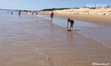 Humour - Fun Sports Skim board Gamelle - Fail 