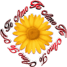 Mensajes Español Te Amo 02 