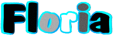 Vorname WEIBLICH - Frankreich F Floria 
